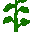 Double plant sunflower top.png