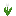 Flower tulip white.png