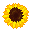 Double plant sunflower front.png