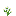 Flower houstonia.png